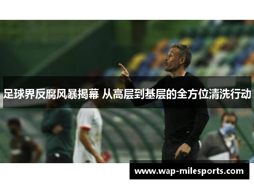 足球界反腐风暴揭幕 从高层到基层的全方位清洗行动