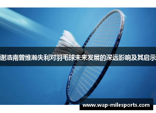 谢浩南曾维瀚失利对羽毛球未来发展的深远影响及其启示