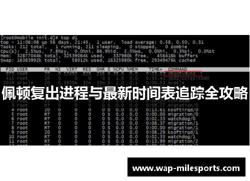 佩顿复出进程与最新时间表追踪全攻略